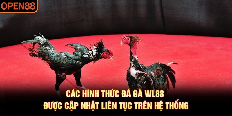 đá gà wl88