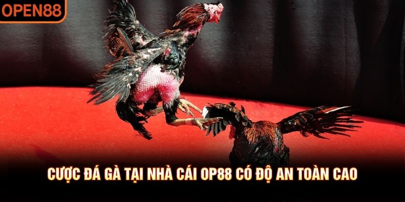 đá gà hiapi