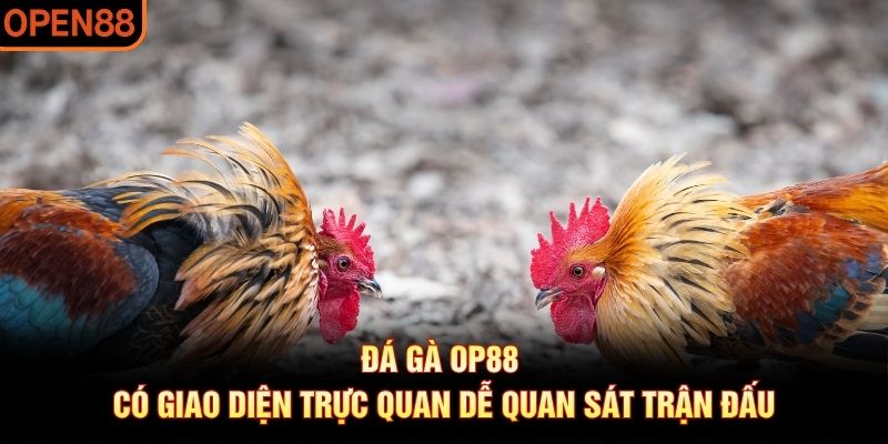Đá gà OP88