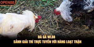 đá gà wl88