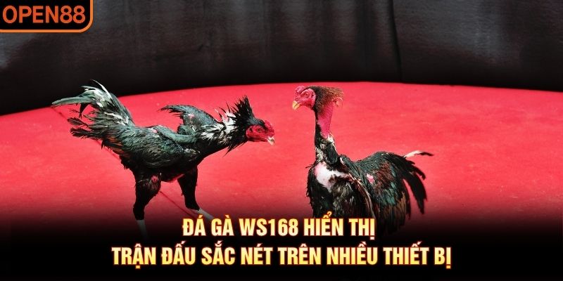 đá gà ws168