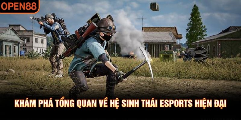E Sport TF