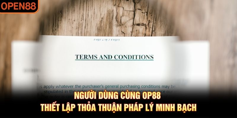 Điều khoản điều kiện OP88