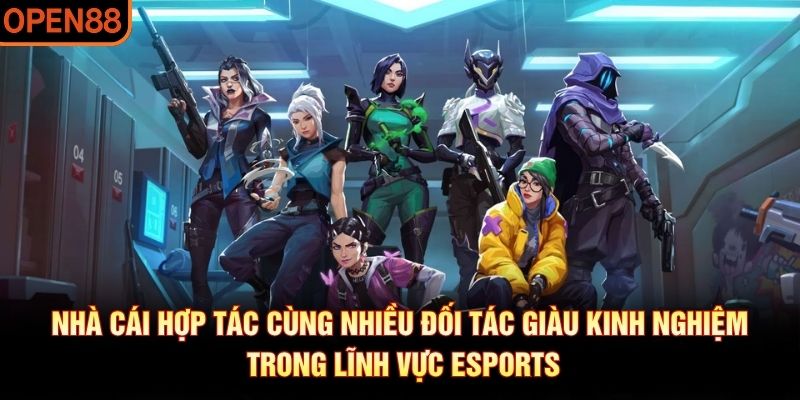 E Sport OP88