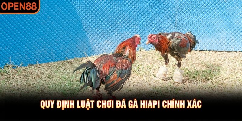đá gà hiapi
