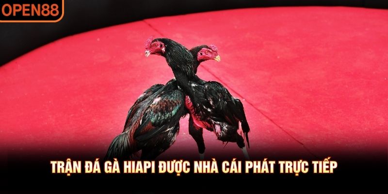 đá gà hiapi